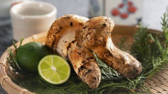 Matsutake mantarı Nedir? Nasıl Pişirilir?